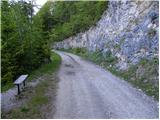 Gozdarska koča Rovtarica - Planina Tamar